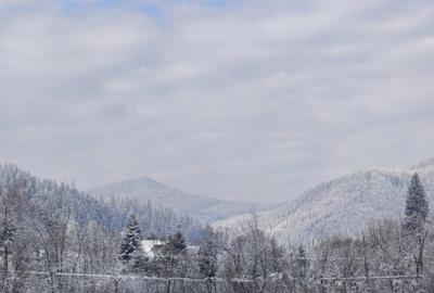 Teren de 22600 mp, în Sucevița - 7