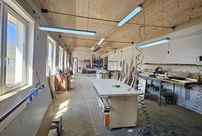 Spațiu comercial, de 220 mp, în Biharia - 19