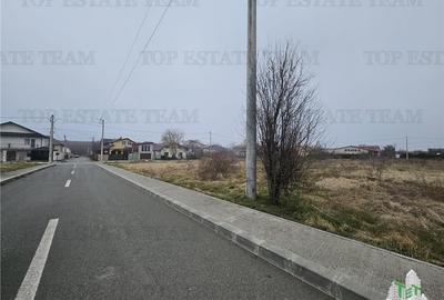 TEREN INTRAVILAN 1000 MP COSTINESTI - 4