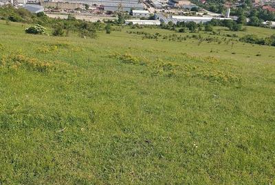Teren de 5755 mp, în Someșeni