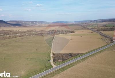 Teren de 19319 mp, în Laslea - 3