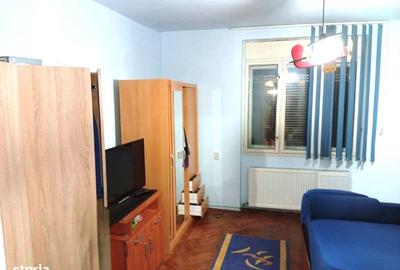 Casă cu 6 camere cu Teren 2880 Mp în Șagu - 19
