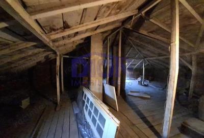 Pache Protopopescu - Agricultori - Sc. Internationala Britanica - 2