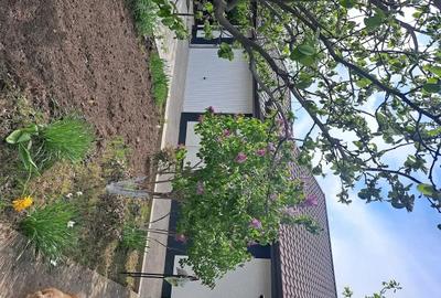 Casă cu 3 camere cu Teren 700 Mp în Valea Ursului - 5