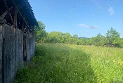 Casă cu 3 camere în Copăceni - 1