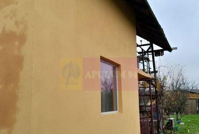 BARCANESTI - casa +curte+teren 16k mp - 6