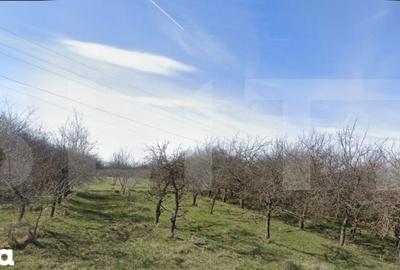 Teren de 1000 mp, în Feleacu