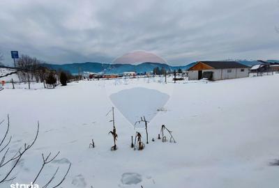 Teren de 9574 mp, în Iacobeni - 4