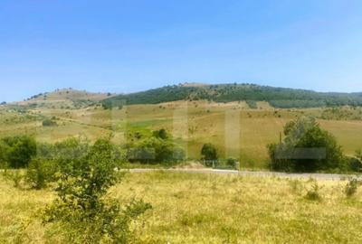 Teren de 1100 mp, în Ciurila - 2