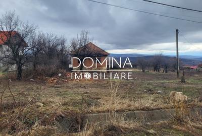 Teren Construcții intravilan de 3407 mp, în Mușetești - 2