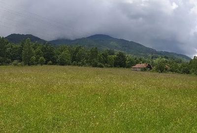 Teren de 12000 mp, în Uric - 3