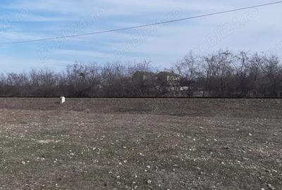 Teren de 700 mp, în Sud - 2