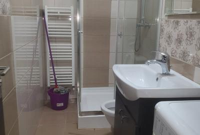 GARSONIERA DE INCHIRIAT ZONA JUDETEAN BRASOV - 8