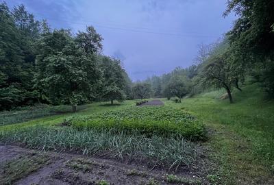 Casă cu 6 camere în Central - 1