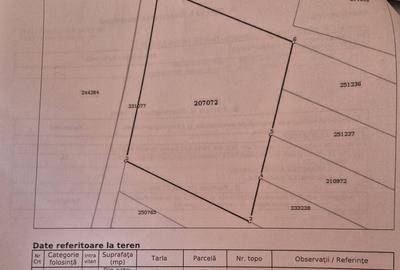 Teren Construcții intravilan de 1818 mp, în Palazu Mare - 6