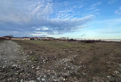 Teren Construcții intravilan de 501 mp, în Săcălaz - 4