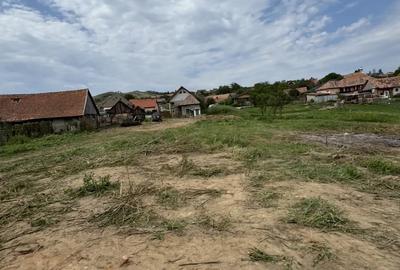 Casa de vanzare TEREN 3300mp cu toate utilitatiile - 3