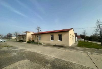 Inchiriez spatii comerciale si industriale in Dumbravita - 7