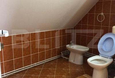 Casa de vanzare, cu 7 camere, 350 mp u & 2850 mp teren - 14