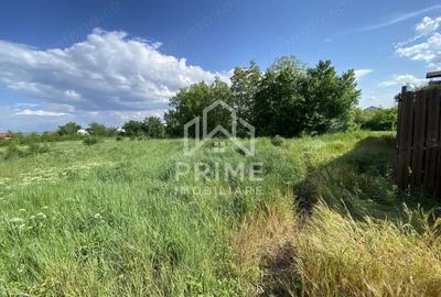 Teren de 898 mp, în Cetate - 4