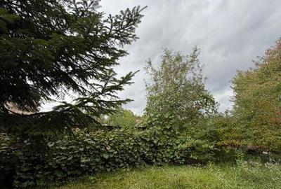 Casa complet renovata, pentru locuin?a sau pensiune t... Casa complet renovata, pentru locuin?a sau pensiune t... - 9