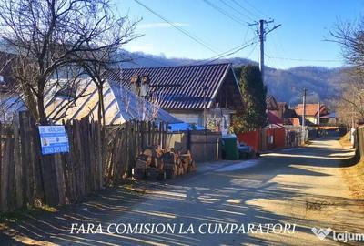 Teren de 1231 mp, în Călimănești - 9
