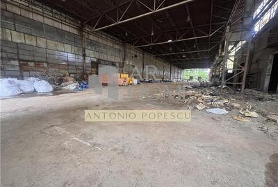 Spațiu industrial, de 3,824 mp, în B-dul București - 7