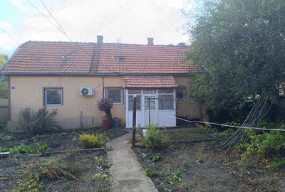 Casa de Vanzare in Petro?ani, jude?ul Hunedoara Casa de Vanzare in Petro?ani, jude?ul Hunedoara - 4