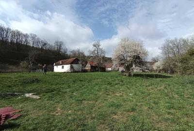 Casă cu 2 camere în Șoimoș - 3