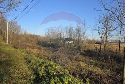 Teren  de vanzare in Fratautii Noi / Strada Dealului - 10
