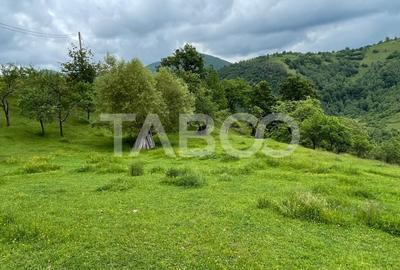 Teren intravilan de vanzare in Martinia de sus - 4