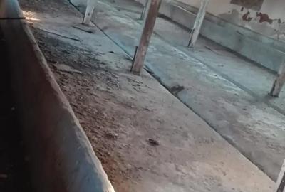 Spațiu comercial, de 2,550 mp, în Siliștea - 4