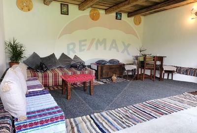 Vanzare casa la munte - zona turistica - Baia de Fier - 20