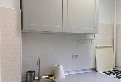 Colentina teiul doamnei metrou obor - 4