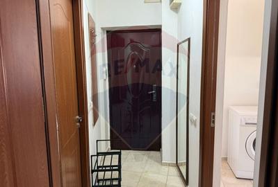 Apartament cu 1 camere de închiriat în zona Brazda lui Novac - 5