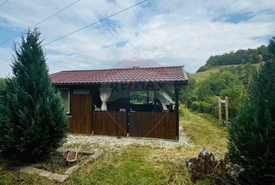 Teren Drumul Buzdului cu o cabana mica - 5