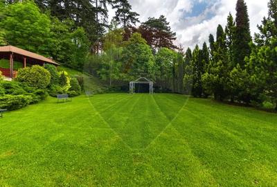Hotel/Pensiune, de 2,000 mp, în Turcheș - 42