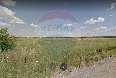 Teren intravilan de 973 mp, în Băneasa - 7