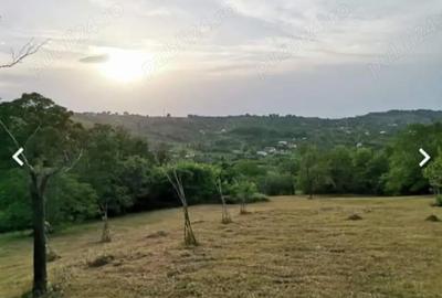 Casă cu 6 camere în Podu Lacului - 4