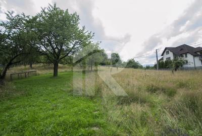 Teren investitie Bran - Predelut, la 2 km de Castelul Bran - 2