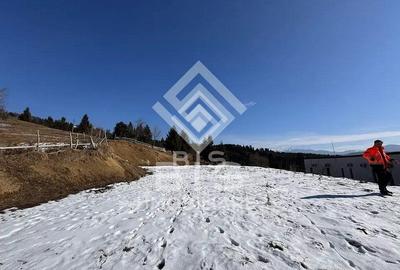 Teren Construcții intravilan de 2623 mp, în Colibița - 4