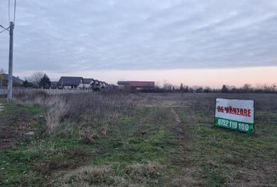 Teren Construcții intravilan de 11173 mp, în Domnești