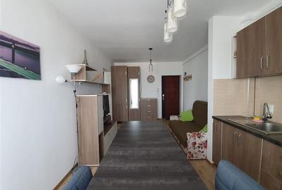 Apartament cu 2 camere semidecomandat, mobilat în Turnișor - 4