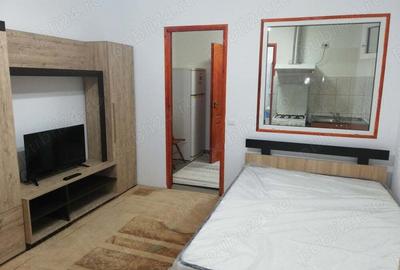 Inchiriez garsoniera la curte - 4