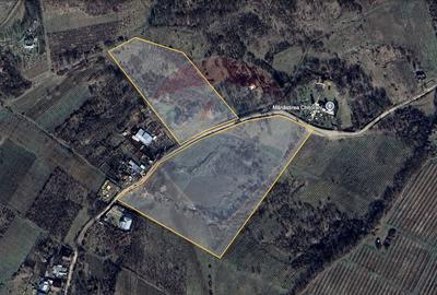 Teren de 33500 mp, în Bucov - 12