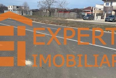 Teren intravilan in KM 5, la VETERANI - PRELUNGIREA TRACTORULUI Teren intravilan in KM 5, la VETERANI - PRELUNGIREA TRACTORULUI - 13