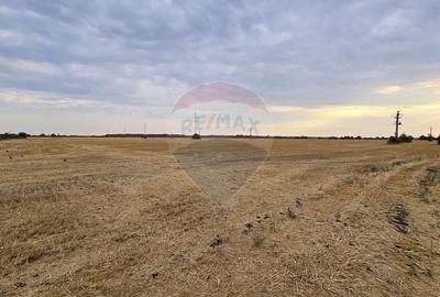 Teren intravilan Buftea, soseaua Tamasi - 4
