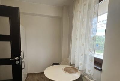 Garsonieră decomandată în Nicolina - 4