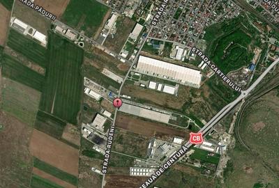 De vanzare teren industrial – Ideal pentru dezvoltare hale Chitila - 7