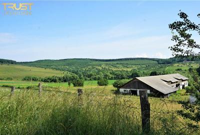 Teren agricol intravilan de 13725 mp, în Posmuș - 10